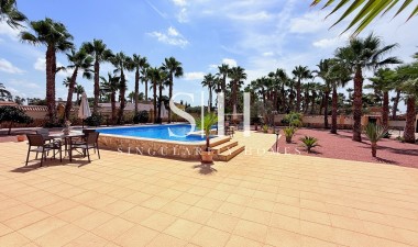 Wiederverkauf - Villa - Catral - Costa Blanca