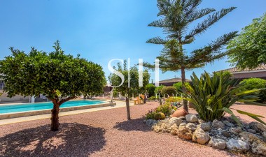 Wiederverkauf - Villa - Catral - Costa Blanca