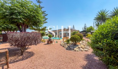 Wiederverkauf - Villa - Catral - Costa Blanca