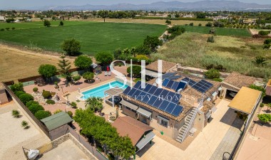 Wiederverkauf - Villa - Catral - Costa Blanca