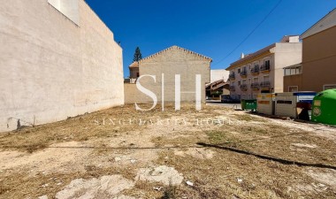 Wiederverkauf - Plot - San Miguel de Salinas - CENTRO URBANO