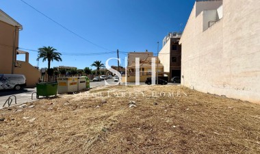 Wiederverkauf - Plot - San Miguel de Salinas - CENTRO URBANO