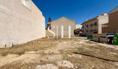 Wiederverkauf - Plot - San Miguel de Salinas - CENTRO URBANO