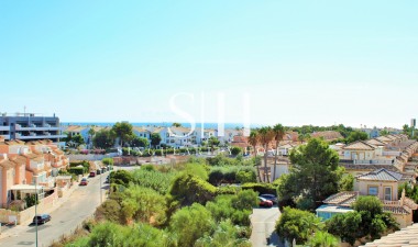Återförsäljning - Lägenhet / lägenhet - Orihuela Costa - Playa Flamenca