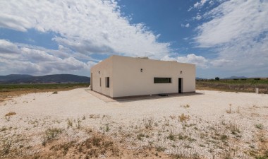 New Build - Villa - Pinoso - Campo