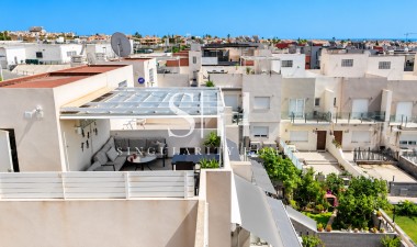 Reventa - Casa - Torrevieja - Aguas Nuevas