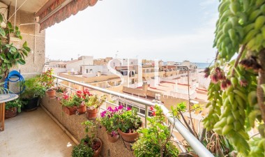 Wiederverkauf - Wohnung - Torrevieja - Centro