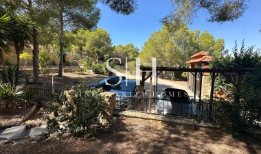 Resale - Villa - San Miguel de Salinas - Inland