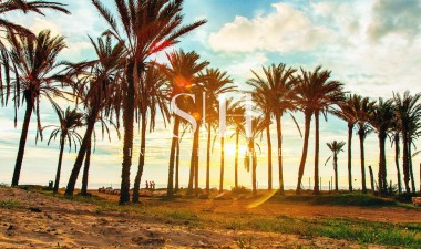 Wiederverkauf - Bungalow - Torrevieja - Los balcones