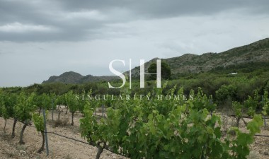 New Build - Villa - Yecla