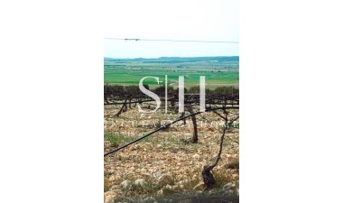 New Build - Villa - Yecla