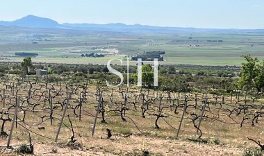 New Build - Villa - Yecla