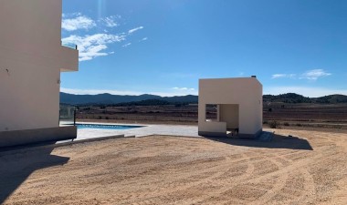 New Build - Villa - Pinoso - Camino Del Prado