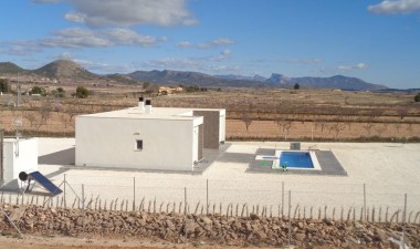 New Build - Villa - Pinoso - Camino Del Prado