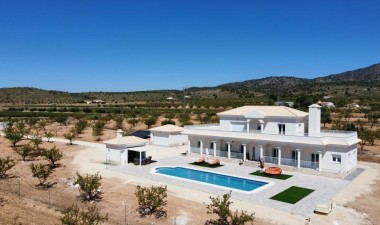 New Build - Villa - Pinoso - Camino Del Prado