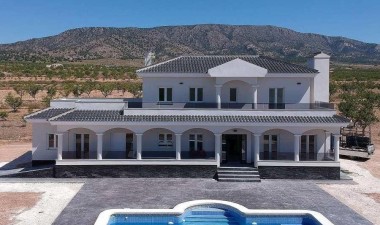 New Build - Villa - Pinoso - Camino Del Prado