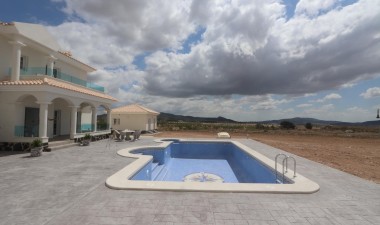 New Build - Villa - Pinoso - Camino Del Prado