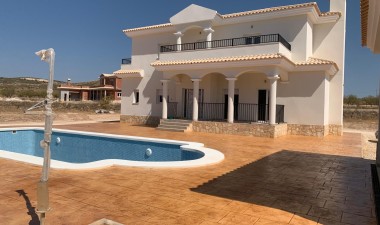 New Build - Villa - Pinoso - Camino Del Prado