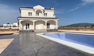 New Build - Villa - Pinoso - Camino Del Prado