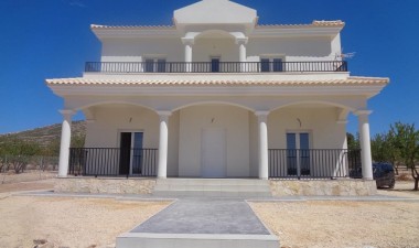 New Build - Villa - Pinoso - Camino Del Prado