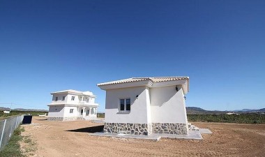 New Build - Villa - Pinoso - Camino Del Prado