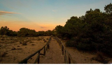 Obra nueva - Villa - La marina - La Marina / El Pinet