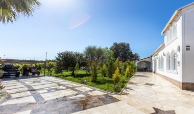 Wiederverkauf - Villa - La marina - Alicante