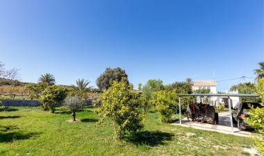 Resale - Villa - La marina - Alicante