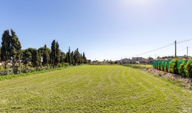 Resale - Villa - La marina - Alicante