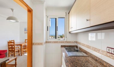 Resale - Penthouse - Torrevieja - Nueva Torrevieja