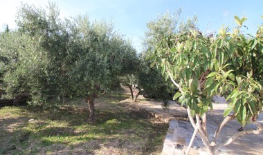 Resale - Finca - Crevillent - P.catxapets