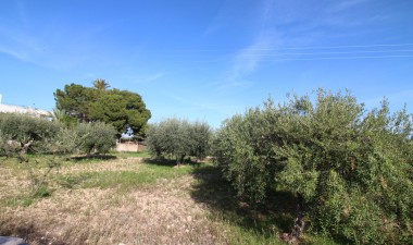 Resale - Finca - Crevillent - P.catxapets