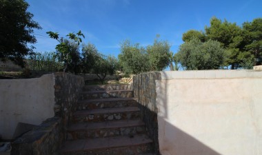 Resale - Finca - Crevillent - P.catxapets