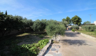 Resale - Finca - Crevillent - P.catxapets