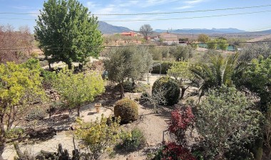 Resale - Country House - Pinoso - Inland