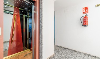 Resale - Penthouse - Torrevieja - Puerto