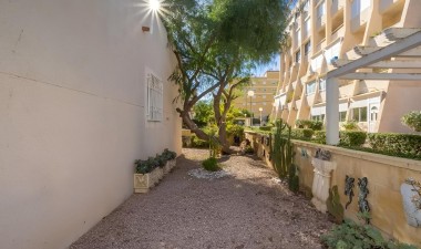 Resale - Villa - Torrevieja - Torreblanca