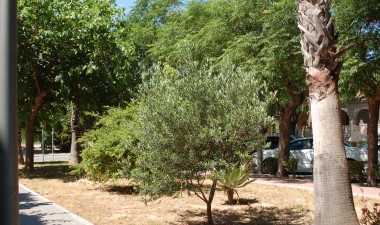 Resale - House - Mil Palmeras - Costa Blanca