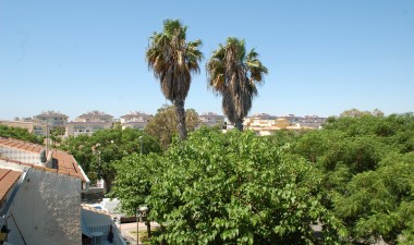 Herverkoop - Huis - Mil Palmeras - Costa Blanca