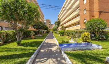 Resale - Apartment / flat - Punta Prima - Costa Blanca