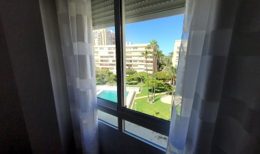 Resale - Penthouse - Torrevieja - Playa de los Locos