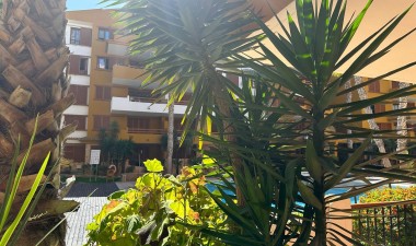 Resale - Apartment / flat - Torrevieja - Costa Blanca