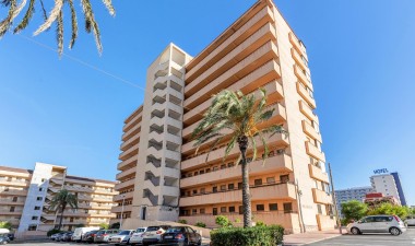 Resale - Apartment / flat - Torrevieja - Cabo Cervera