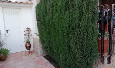 Resale - Duplex - Pilar de la Horadada - Costa Blanca