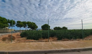 Resale - Duplex - Pilar de la Horadada - Costa Blanca